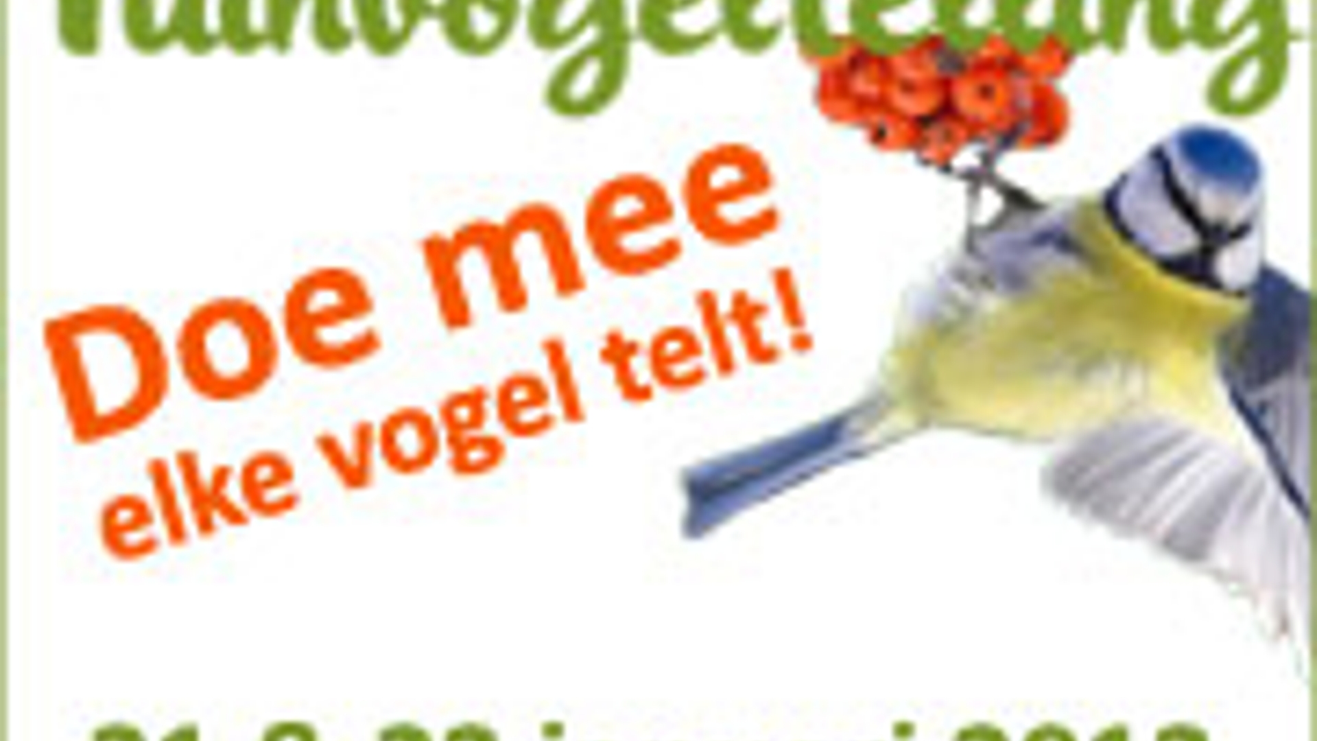 bannertvt2012_180x150.jpg