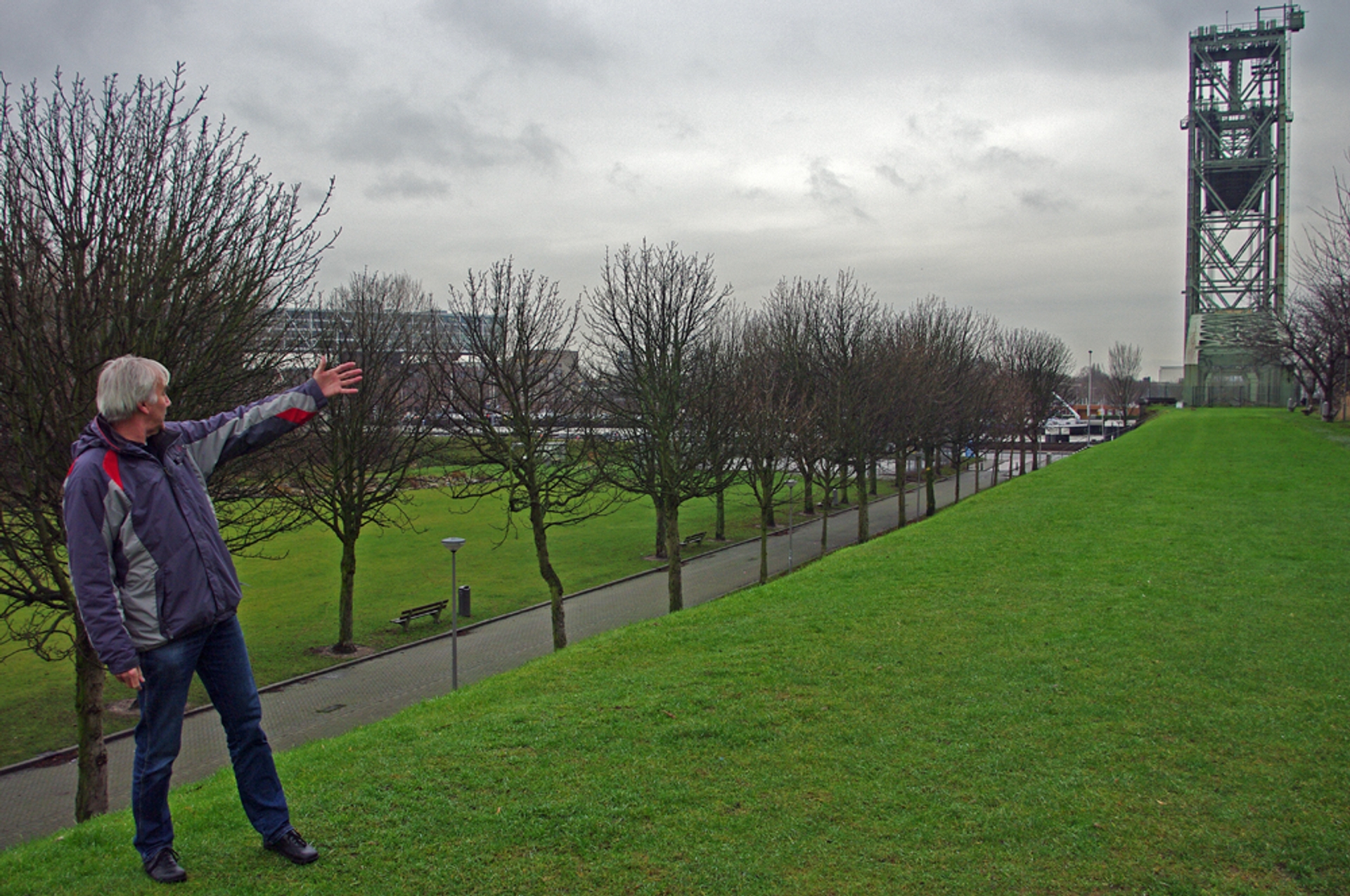 Tuinreservaten Kerstbomen De Grond In Vroege Vogels Bnnvara