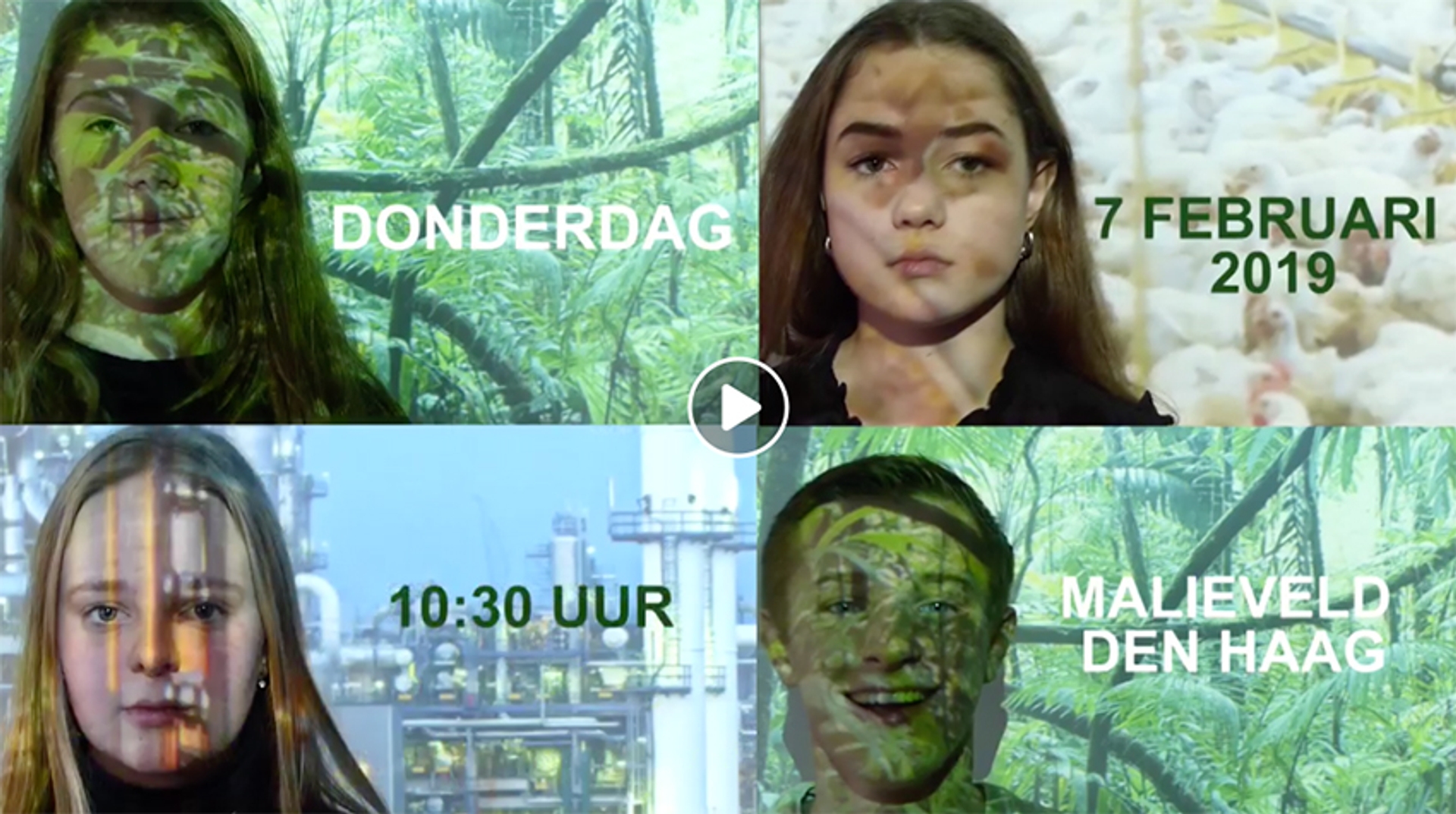 Afbeelding van Nederlandse scholieren gaan spijbelen voor het klimaat