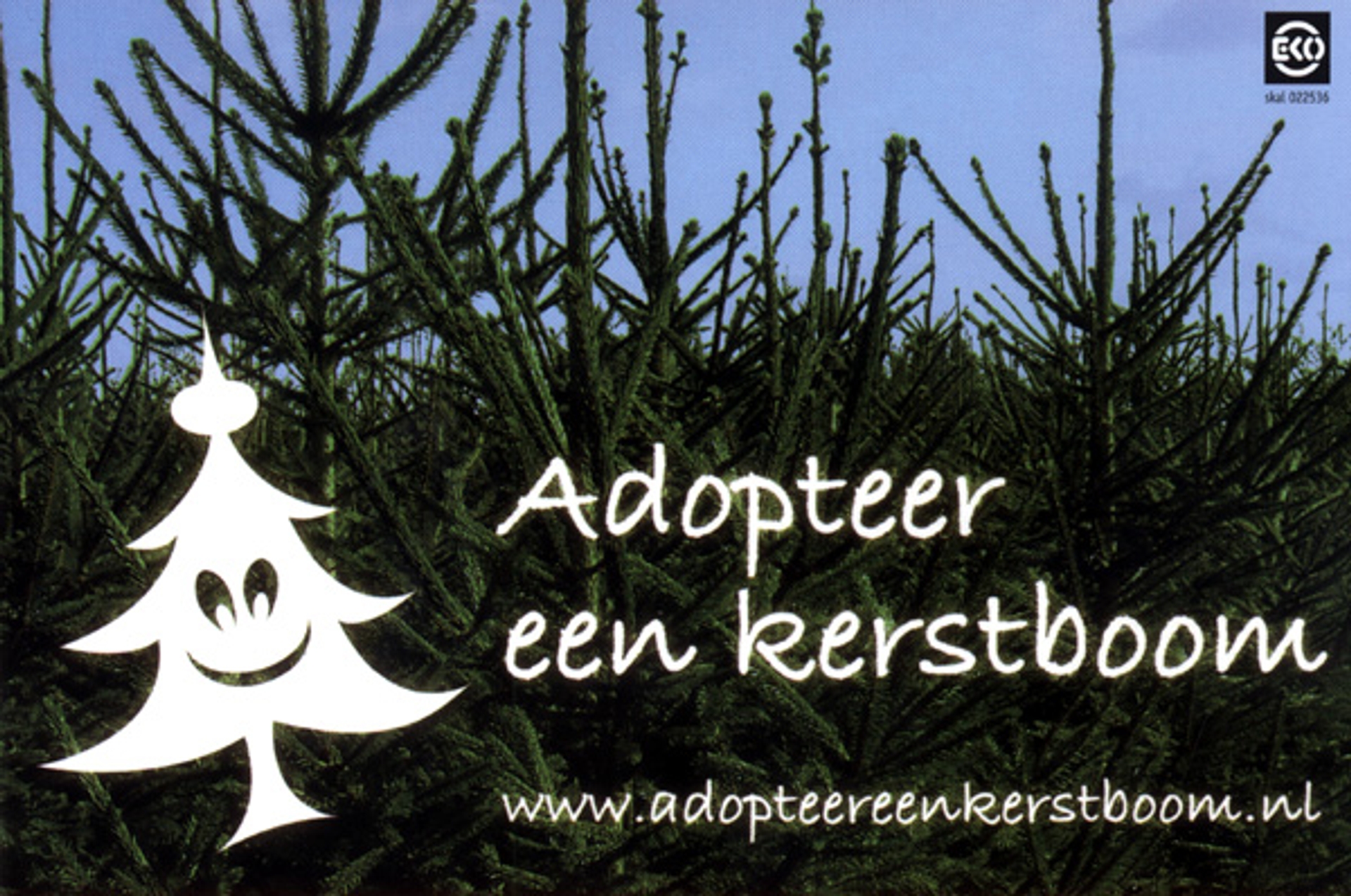 Adopteer een kerstboom Vroege Vogels BNNVARA