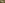 Zwartwitte hermelijn - bonteklepper - gesneden