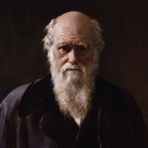 Darwin in zakformaat