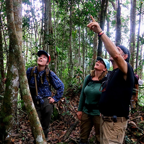 Burgers ontdekken nieuwe diersoorten op Borneo