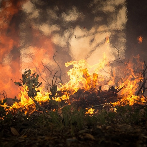 Hoog natuurbrandgevaar in Brabant en Zeeland