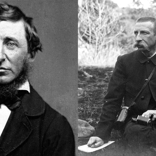 Thoreau en Thijsse