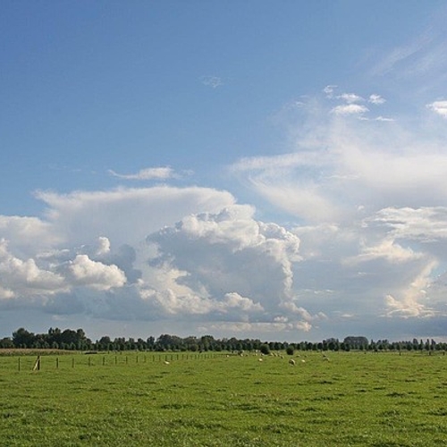 Grootschalig natuurherstel in Noord-Brabant