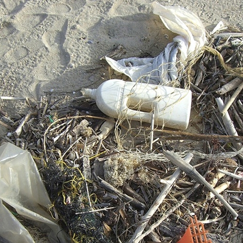 Ook Noord- en Oostzee ernstig vervuild met plastic