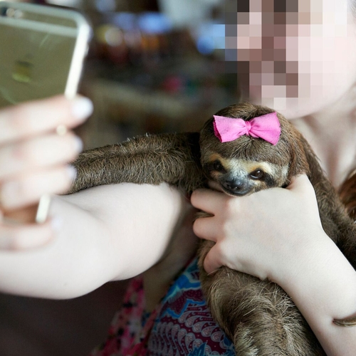 Instagram in actie tegen selfies met dieren