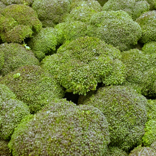 Monsanto raakt patent op broccoli kwijt
