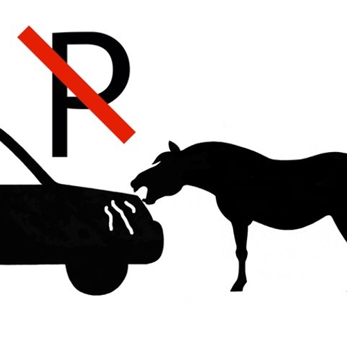 Vermijd schade aan autolak door schrapende paarden