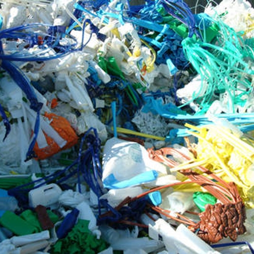 Gevaar van microplastics groeit