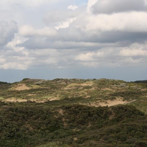 5000-soortenjaar in het Nationaal Park Hollandse Duinen