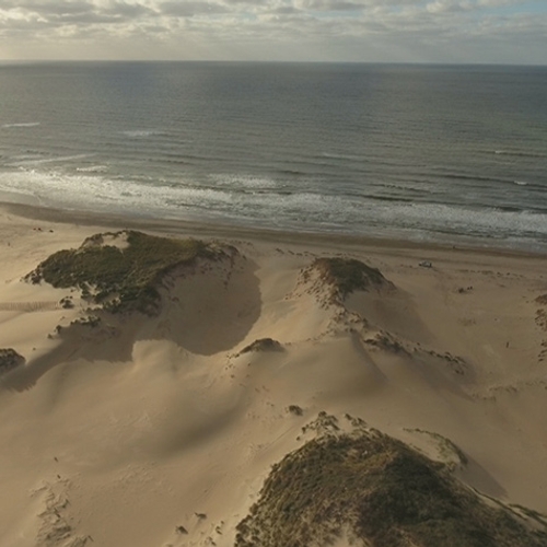 Het kalkrijke zand van Zuid-Kennemerland