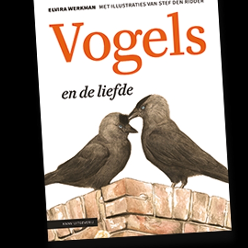 Boek: Vogels en de liefde