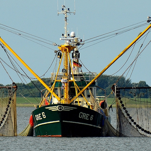 Akkoord over minder visvangst in IJsselmeer