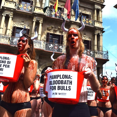 Halfnaakte activisten demonstreren tegen stierengevechten