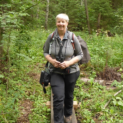 Radioportret Pauline Arends: een van de eerste vrouwelijke boswachters