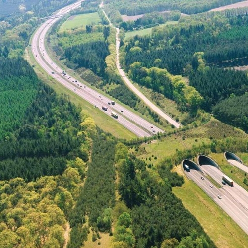 ‘Natuurnetwerk komt niet op tijd af’