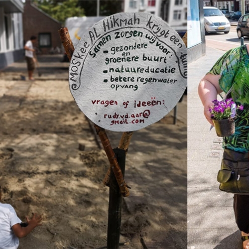 Haagse bewoners ruilen 13.700 tegels om voor planten