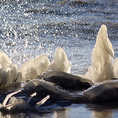 Fotoserie: natuurlijke ijssculpturen