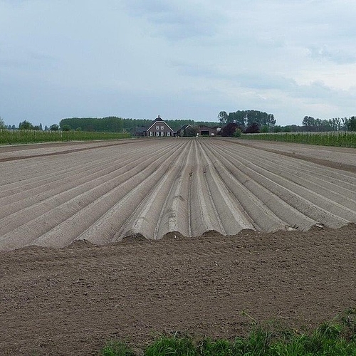 Nederland loopt achter in biologische landbouw