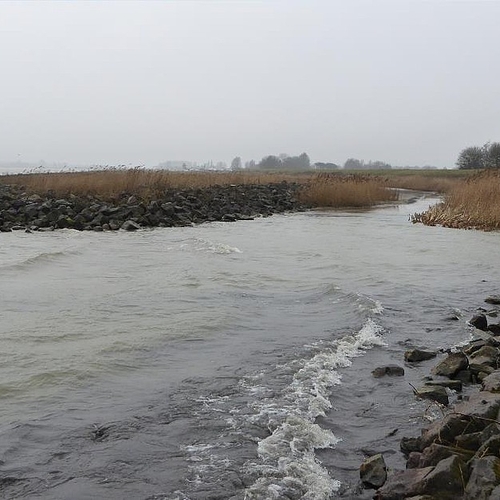 Uitstel zandwinning IJsselmeer na protest