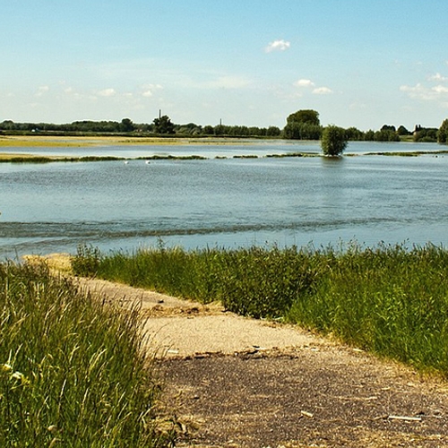 Langgerekte dammen langs oever Waal beschermen de natuur